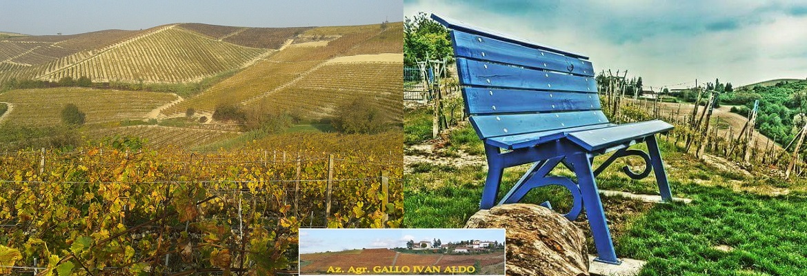 azienda-gallo-ivan-aldo